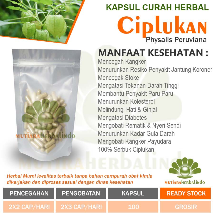 Herbal CIPLUKAN 100 capsul Diabetes Hati Ginjal Kanker Payudara Tulang