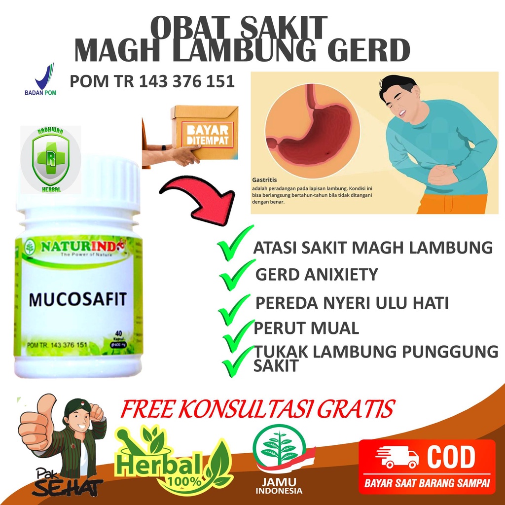 Jual Obat Asam Lambung Dan Maag Kronis Herbal Ampuh Mengatasi Anxiety ...