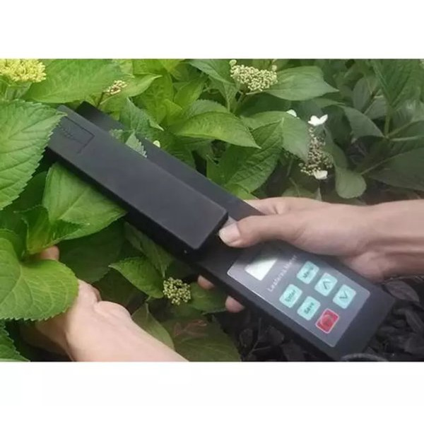 Jual YMJ-B LAM-B Portable Plant Leaf Area Meter Agricultural Research ...