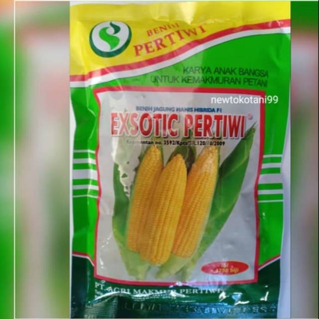 Jual Benih Jagung Manis Exsotic Pertiwi F1 Jagung Manis Exotic Hibrida