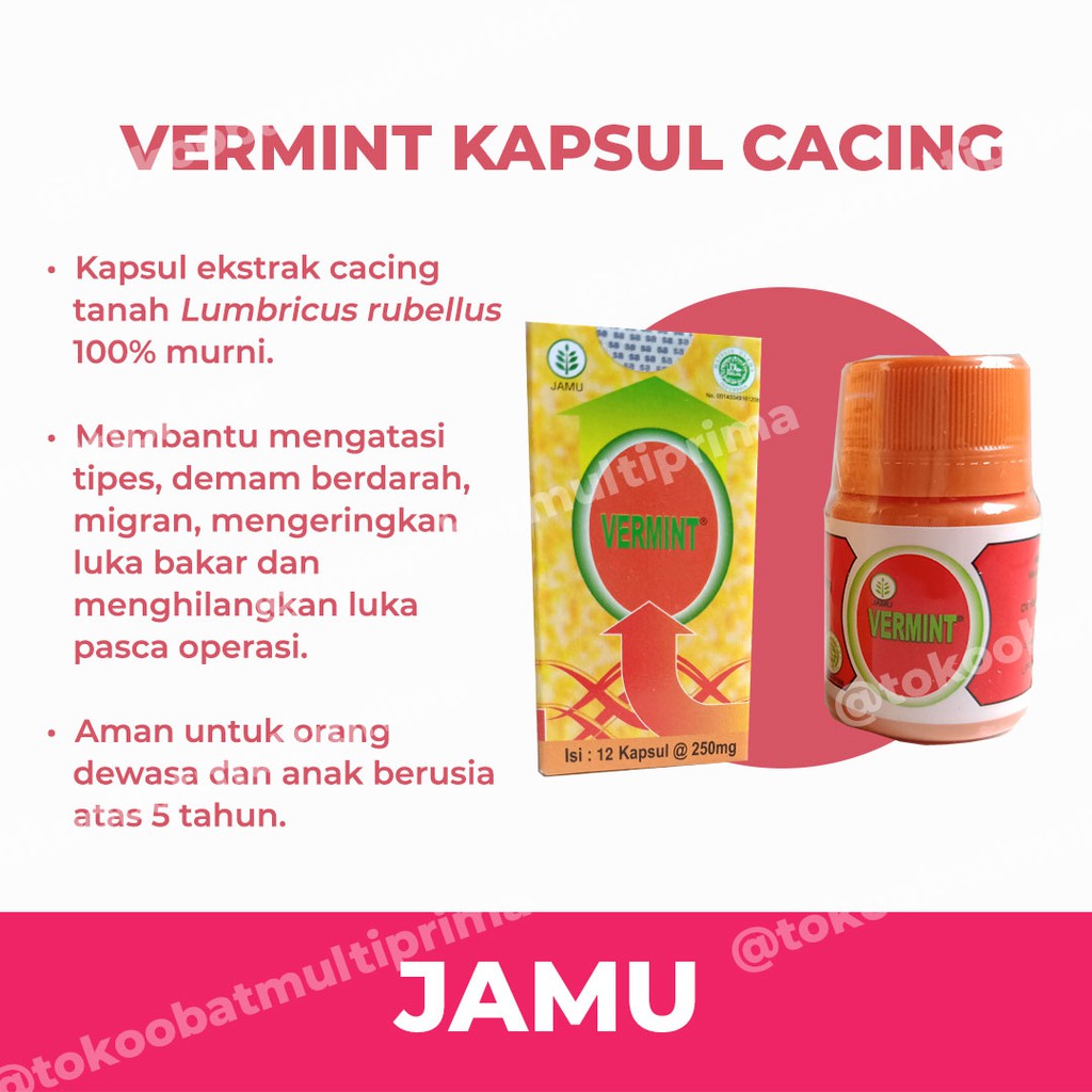 Jual Vermint Kapsul Ekstrak Cacing Obat Herbal Tipes Tifus Typhus Shopee Indonesia 0658