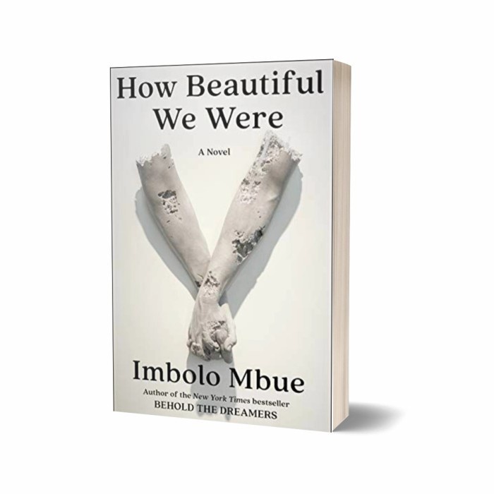 Jual Buku How Beautiful We Were | Shopee Indonesia