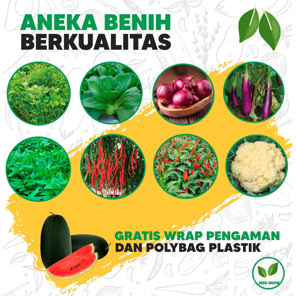 Jual Benih Bibit Biji Sayuran Buah Lengkap Tanaman Hidroponik Murah ...