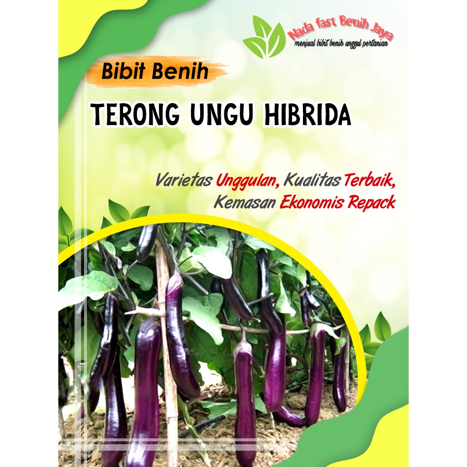 Jual Bibit Benih Biji Tanaman Sayur Benih Sayuran Komplit Bibit Sayuran