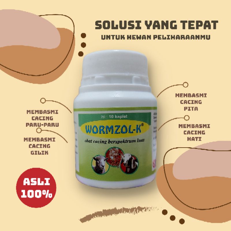 Jual Wormzol-K 10 Kaplet OBAT CACING KAMBING DOMBA SAPI | Shopee Indonesia