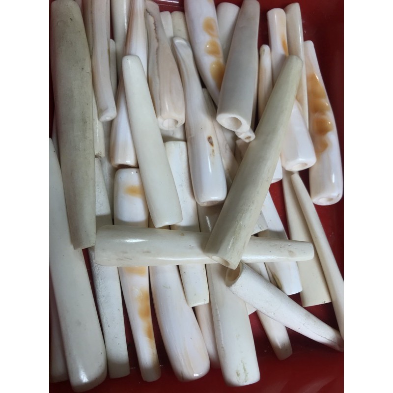Jual pipa rokok kerang | Shopee Indonesia