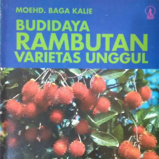 Jual BUDIDAYA RAMBUTAN VARIETAS UNGGUL | Shopee Indonesia