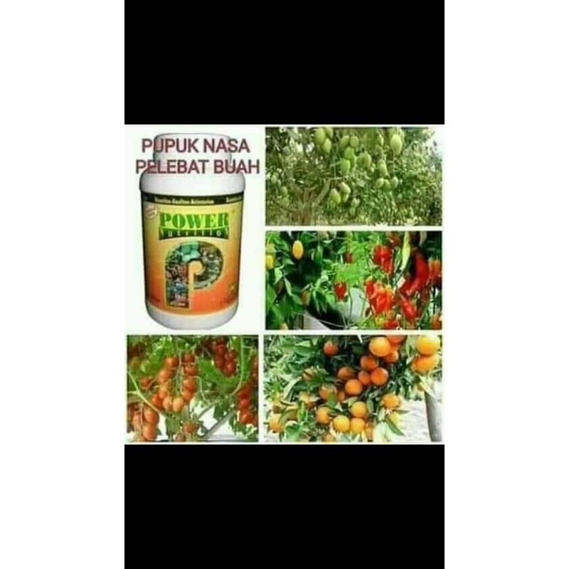 Jual Pupuk Power Nutrition Nasa Cc Pelebat Buah Hasil Panen Shopee Indonesia