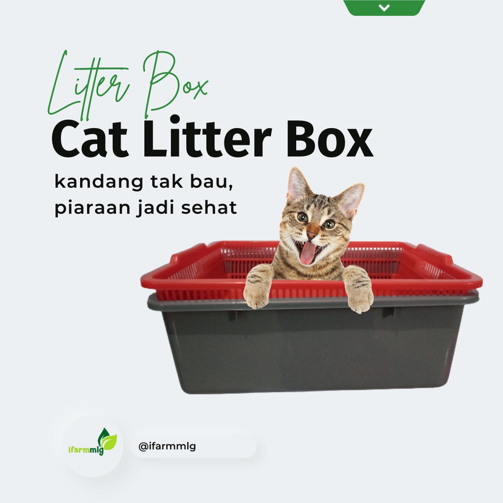 Jual Cat Litter Box Litter Box Kotak Kotoran Kucing Box Kucing