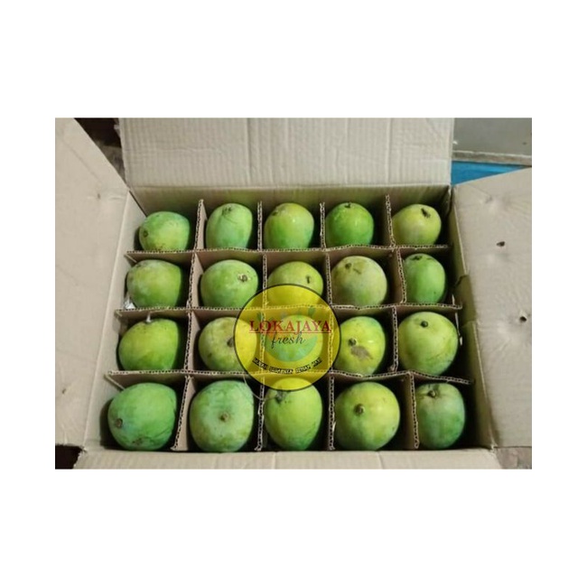 Jual Buah Mangga Harum Manis Arum Manis Masak Pohon Buah Mangga Harumanismangga Arumanis 