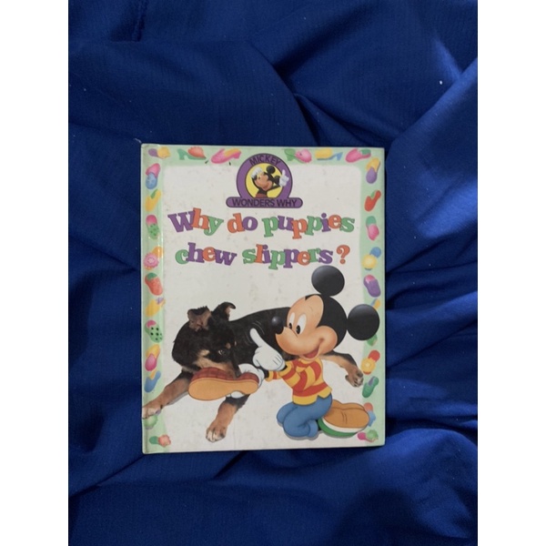 Jual mickey wonders why why do puppies chew slippers? Shopee Indonesia