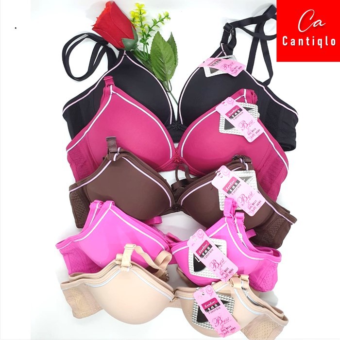 Jual Bra Bh Pakaian Dalam Wanita Scalen Tanpa Kawat Busa Tipis Cup A Shopee