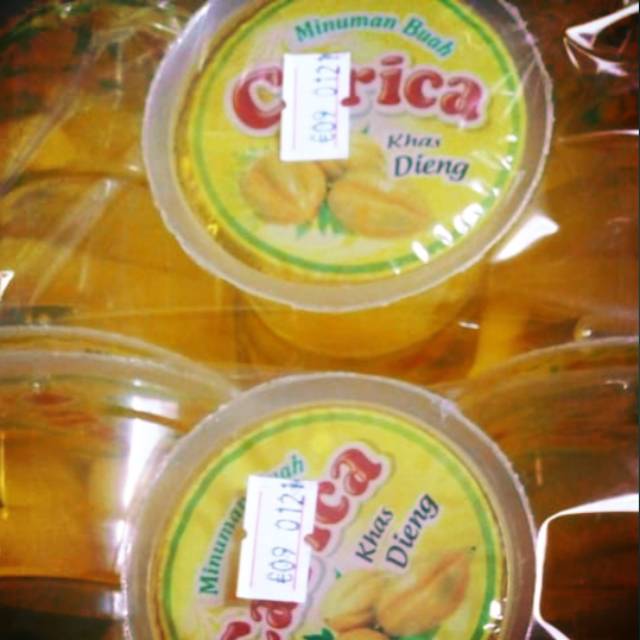 Jual Carica Asli Dieng Shopee Indonesia