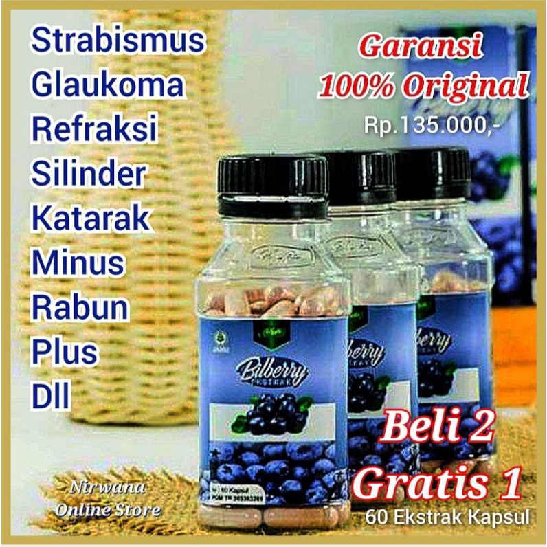 Jual VITAMIN NUTRISI MATA HERBAL / KAPSUL BILBERRY SYIFA ORIGINAL
