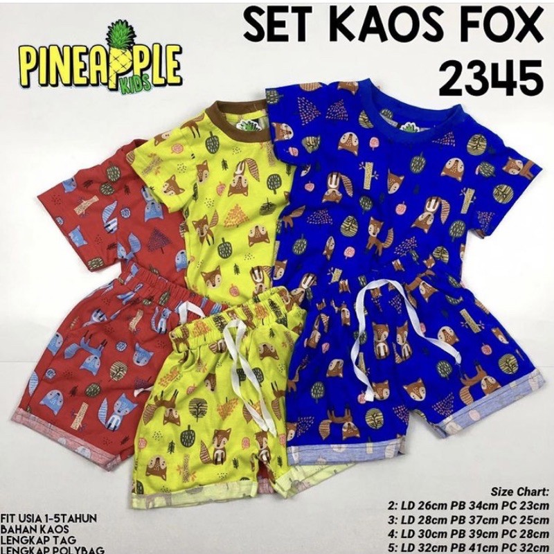 Jual Fox Set (setelah Baju Anak) | Shopee Indonesia