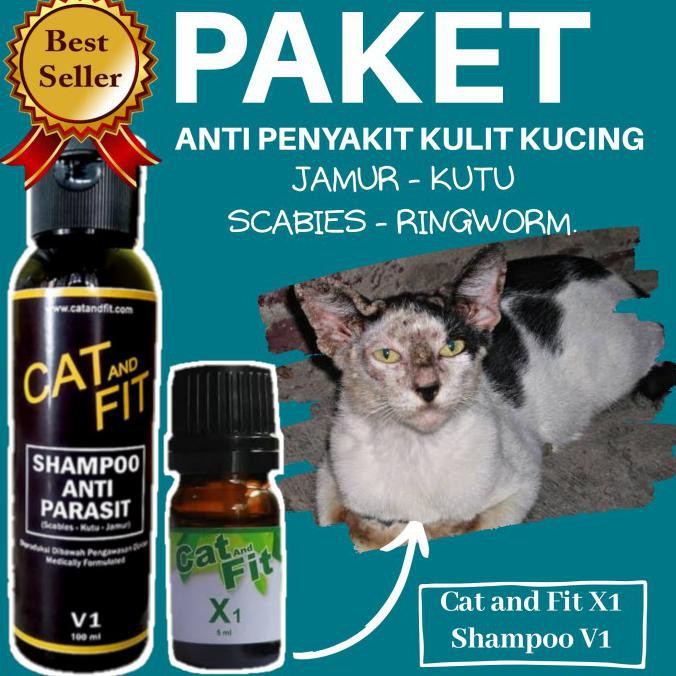 Jual PAKET OBAT DAN SHAMPOO ANTI KUTU JAMUR DAN SCABIES KUCING CAT AND