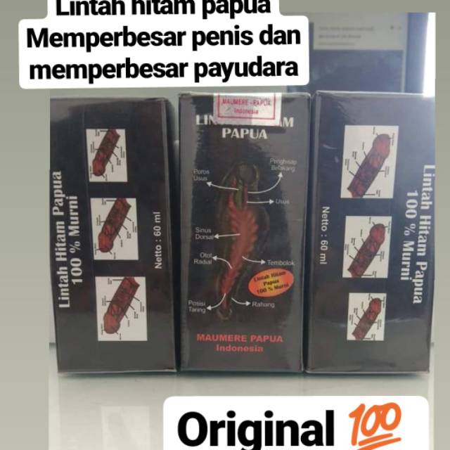 Jual Lintah Hitam Papua Original Perbesar Mr P Dan Pay La A Shopee