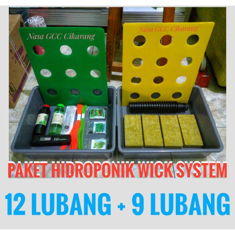 Jual Bak Hidroponik Paket Lengkap Hidroponik Wick System Shopee Indonesia