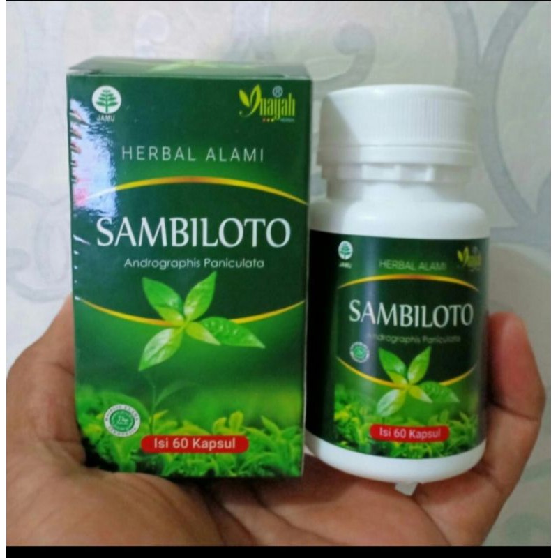 Jual Kapsul Daun Sambiloto Isi 60 Capsul Inayah Original Obat Corona ...