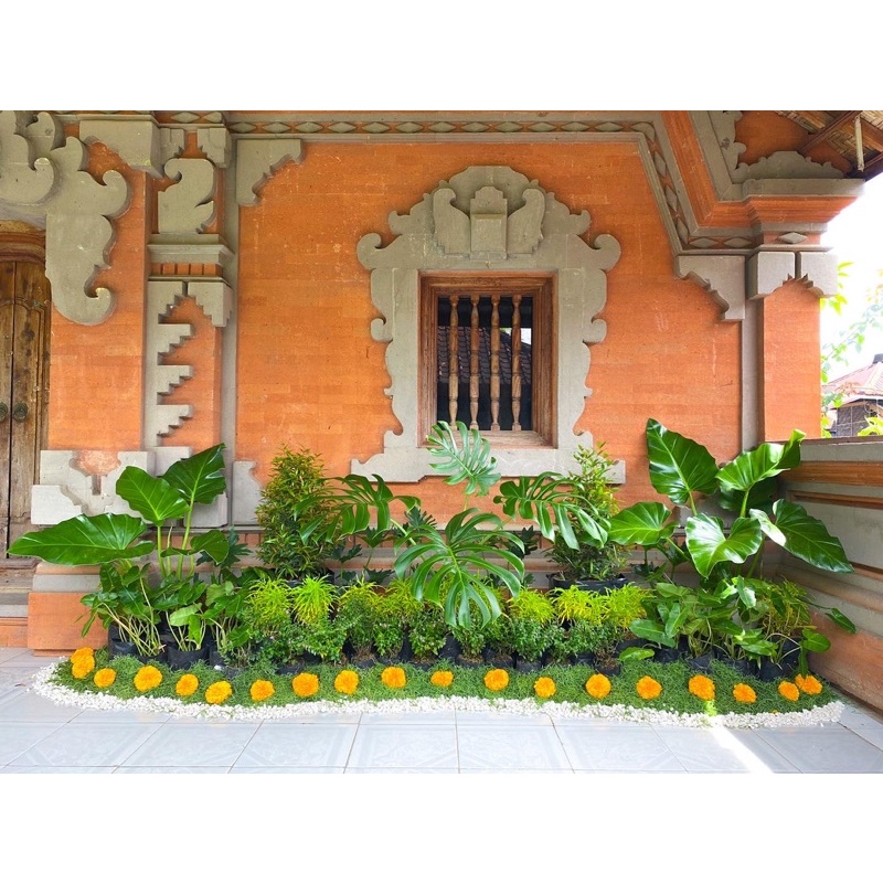 Jual dekorasi panggung dengan mini garden | Shopee Indonesia