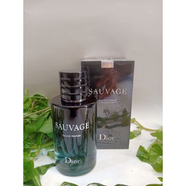 De Toilette Profumo Sauvage Dior 100 Ml Jual Parfum Sauvage Dior