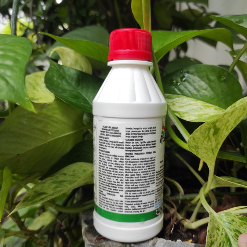 Jual RACUN PEMBASMI RUMPUT ROUNDUP 200ML HERBISIDA GULMA LIAR OBAT ...