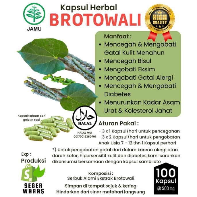 Jual BROTOWALI 100 Kapsul | Herbal Obat Penyakit Kulit | Shopee Indonesia