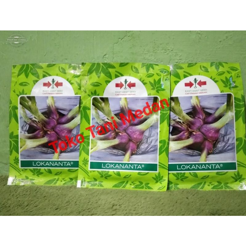 Jual Benih Bawang Merah Lokananta Isi 10 Gram | Shopee Indonesia