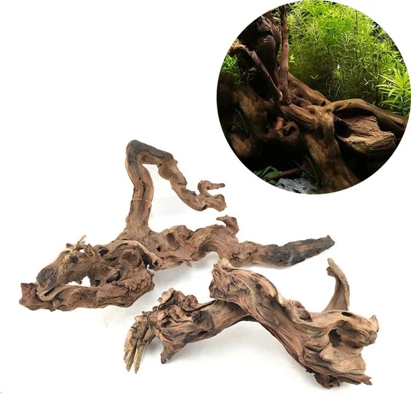Jual Kayu Rantek Grade A Untuk Hiasan Tank Channa | Shopee Indonesia