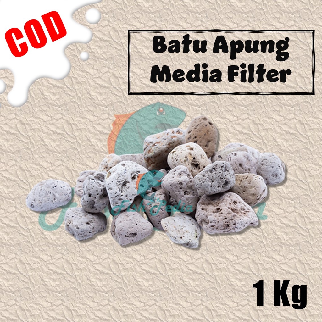 Jual Batu apung media filter / batu apung 1 kg | Shopee Indonesia