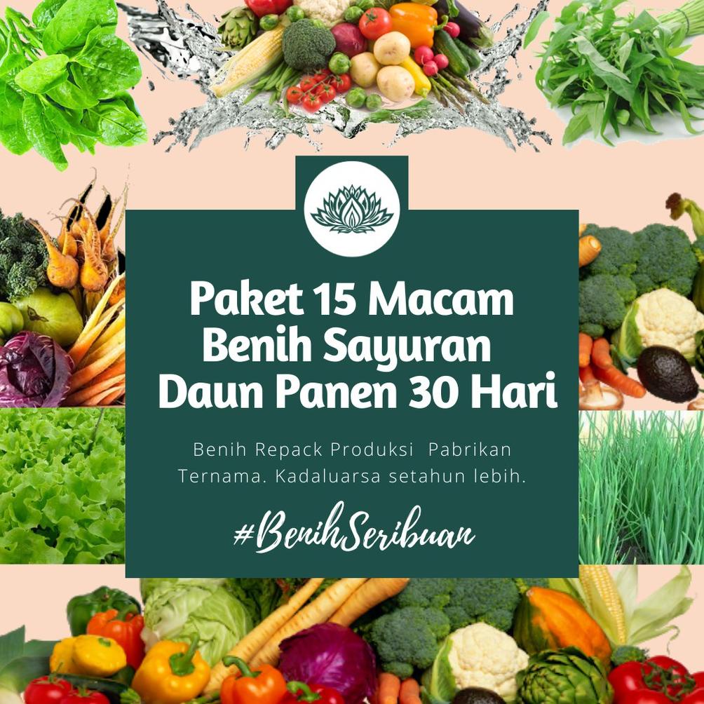 Jual Paket Bibit Sayuran Macam Benih Sayuran Pemula Sayur Daun