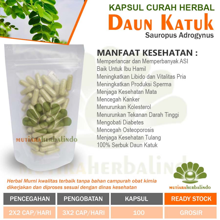 Jual DAUN KATUK Kapsul Curah Herbal 600mg ASI Vitalitas Bisul Mata ...