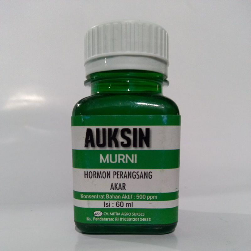 Jual Zpt AUKSIN 60ml Hormon UNTUK PERANGSANG AKAR | Shopee Indonesia