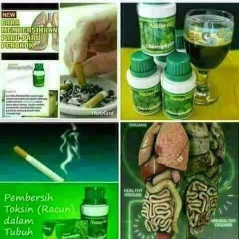 Jual NCP Nclho NASA solusi pemberhenti rokok detok racun tubuh ...