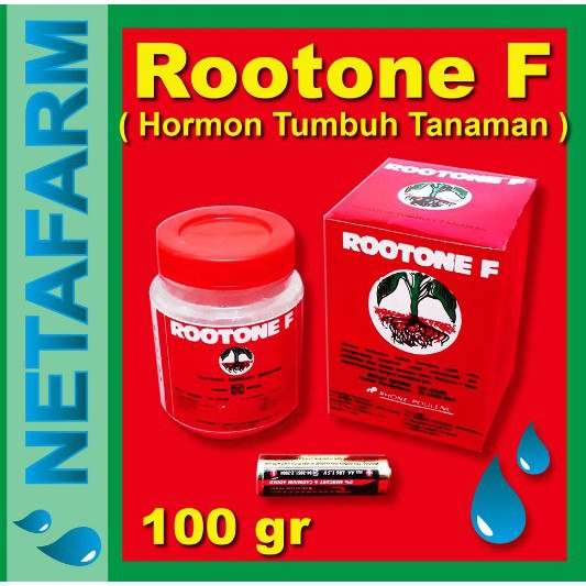 Jual SS22 Hormon Tumbuh Tanaman - 100gr / Rootone F!! | Shopee Indonesia