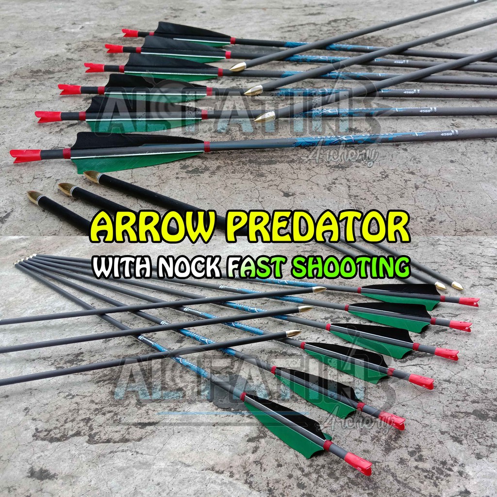 Jual Arrow Pure Carbon Predator / Nock Fast Shooting | Shopee Indonesia