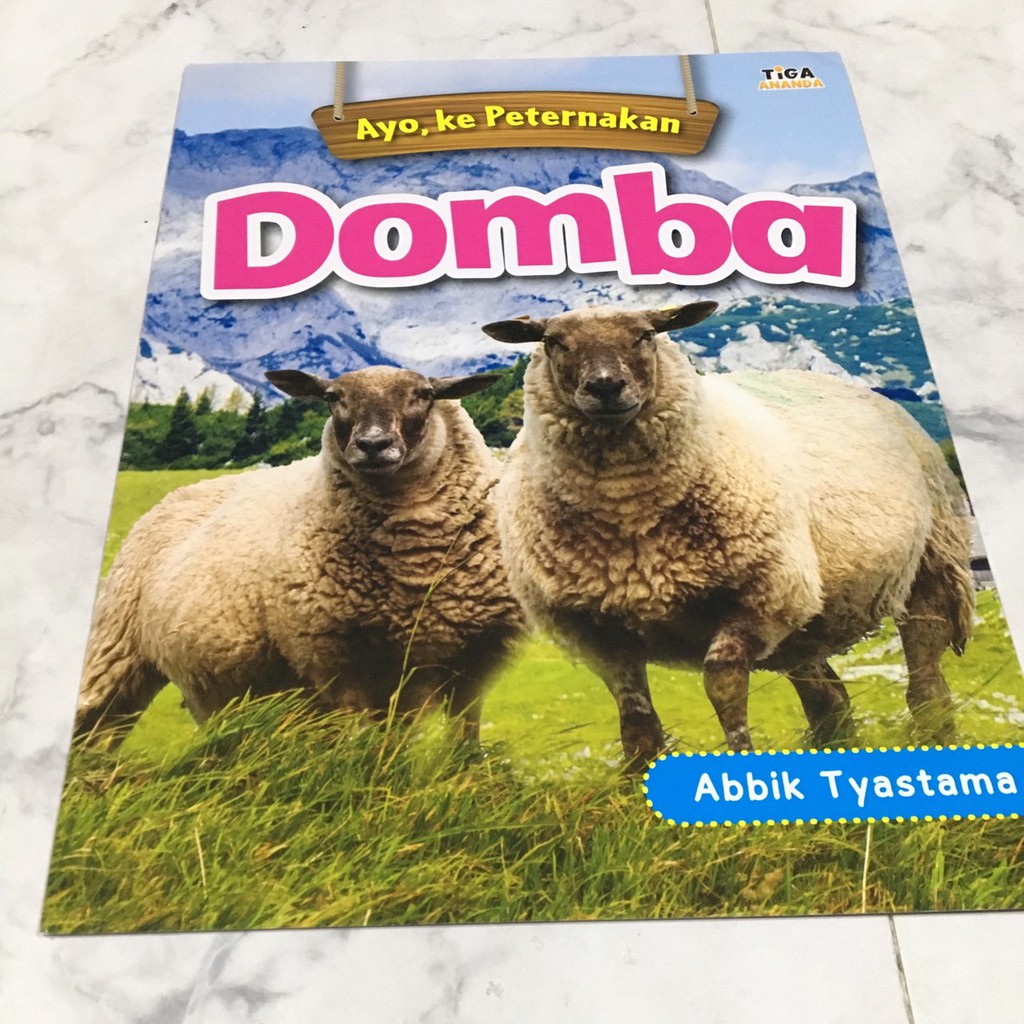 Jual Ayo ke pertenakan sapi / buku aktivitas anak belajar tentang sapi ...