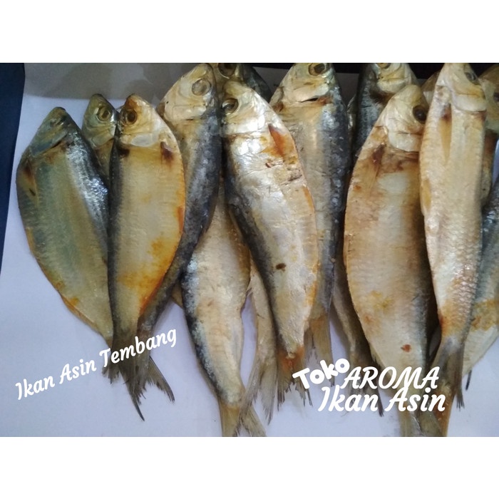 Jual Ikan Tembang Murah 1 Kg Shopee Indonesia