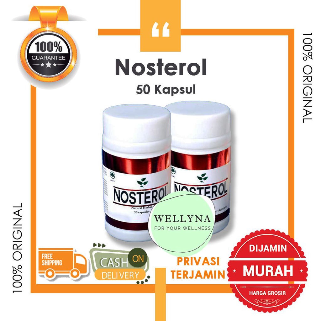 Jual Nosterol- Obat Herbal Menurunkan Kolesterol Lemak Darah & Mencegah ...