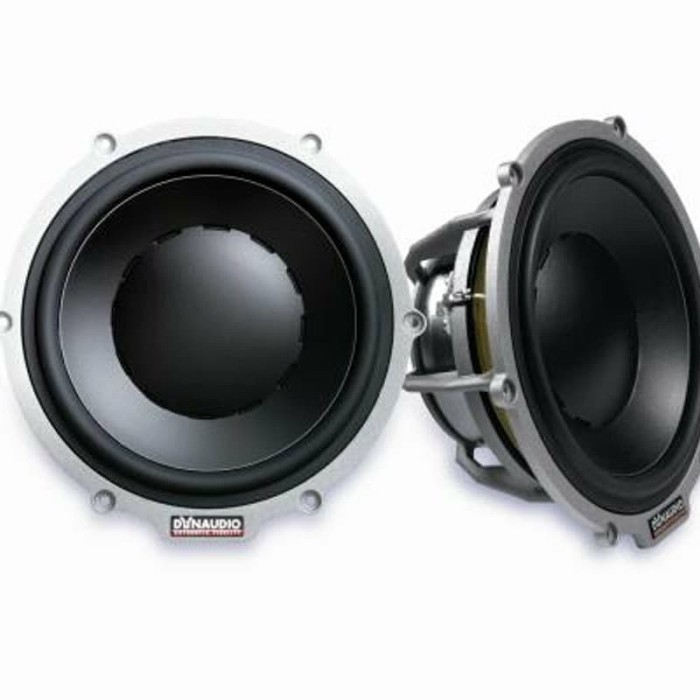 【正規品】DYNAUDIO Esotar2 650 ウーファー 2個セット 正規品】DYNAUDIO Esotar2 650 ウーファー 2個セット