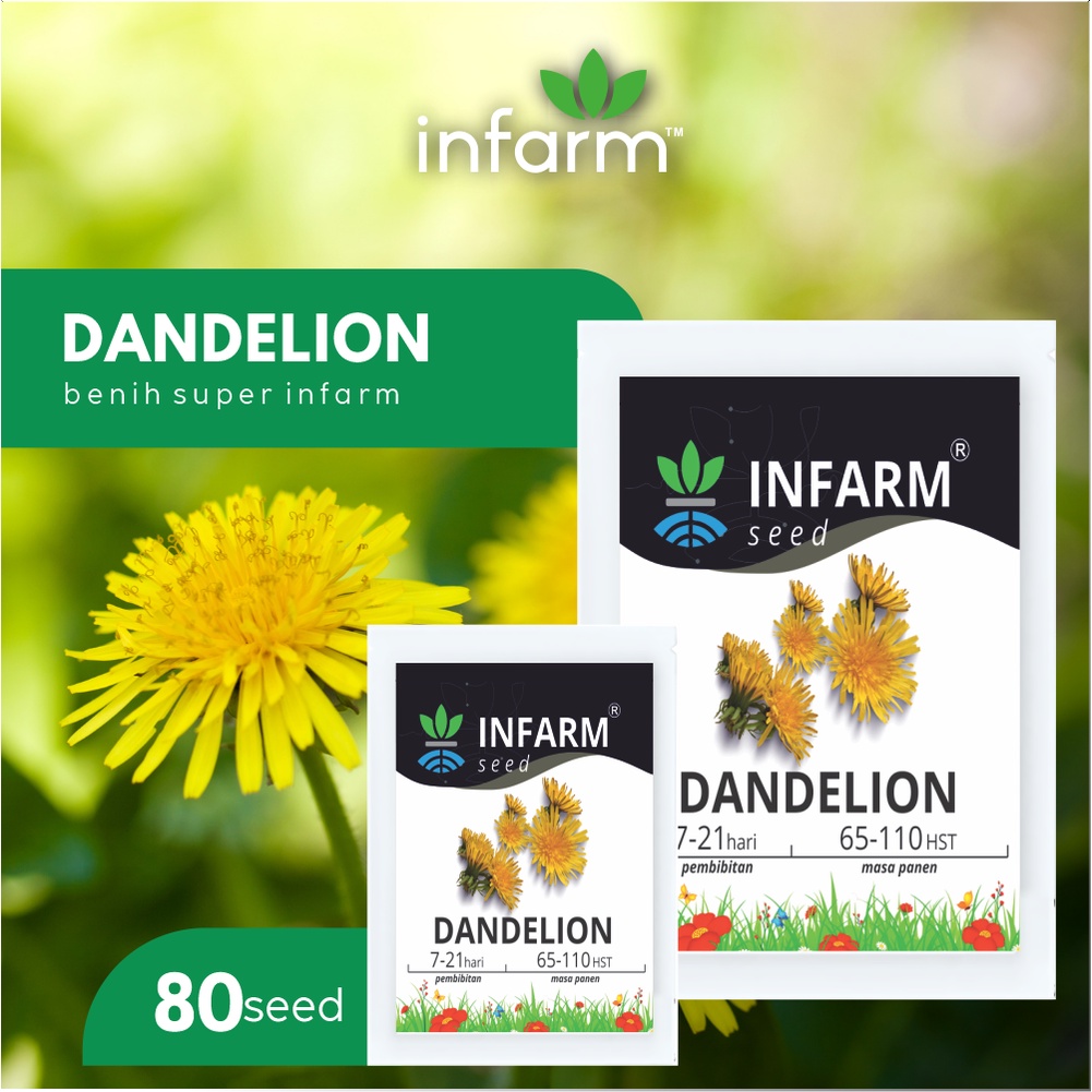 Jual Infarm Benih Bibit Bunga Import Begonia Daisy Marigold Lavender Sunflower Rosella Telang