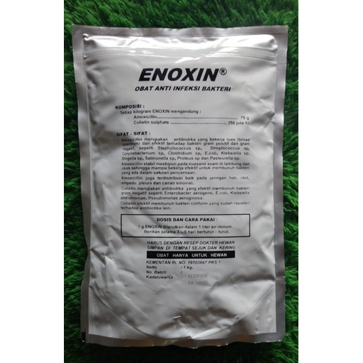 Jual Enoxin anti infeksi bakteri saluran pencernaan dan pernafasan pada ...