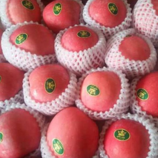 Jual BUAH APEL FUJI RRC FUJI FRESH IMPORT SEGAR MURAH 1 KG | Shopee ...