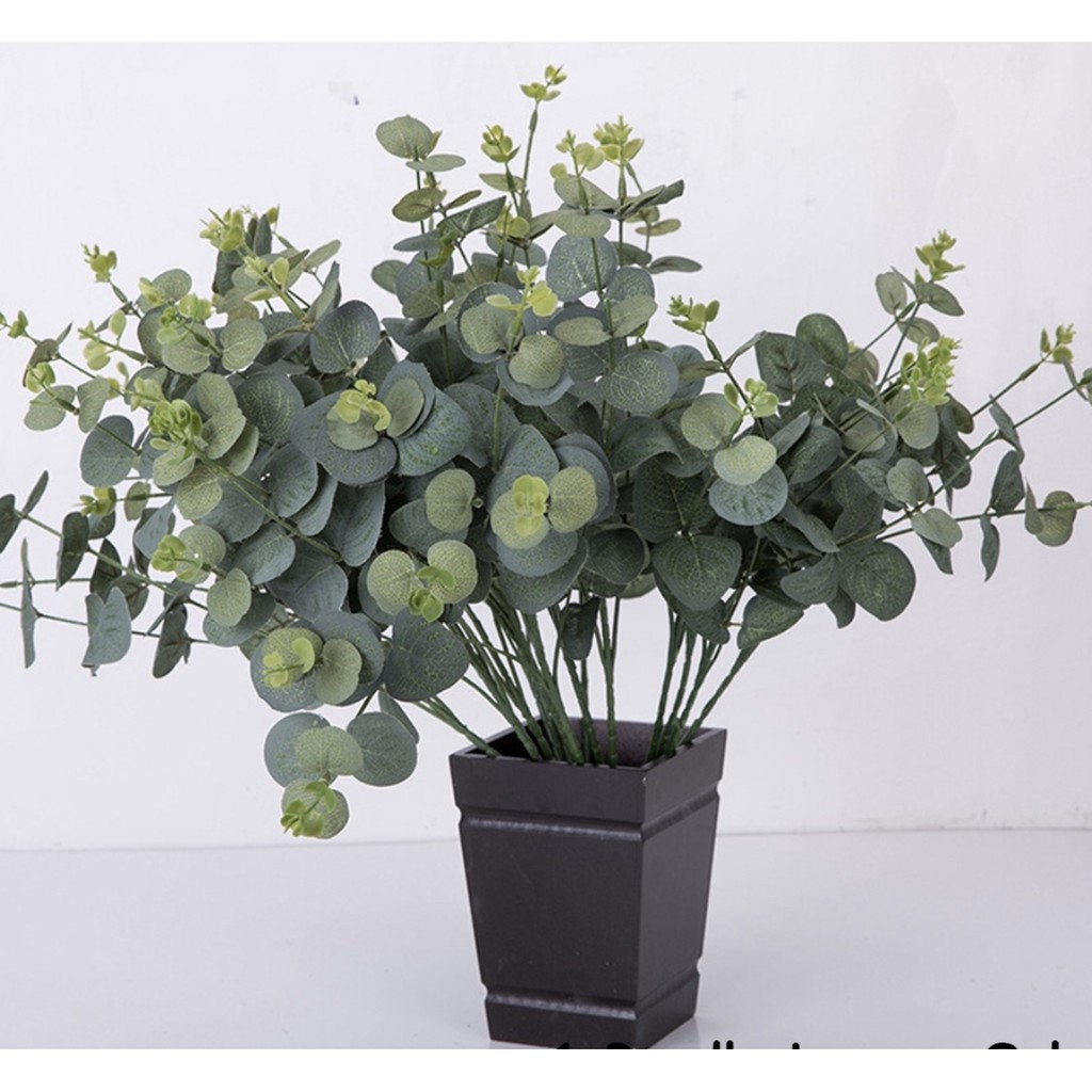 Jual DAUN EUCALYPTUS ARTIFICIAL | Shopee Indonesia