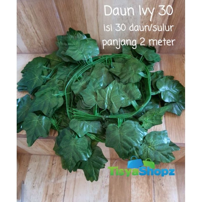 Jual Lusin Daun Rambat Daun Anggur Daun Ivy Daun Sri Gading Shopee Indonesia