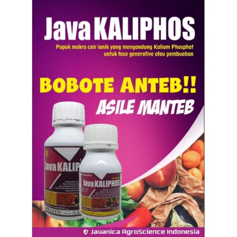 Jual Java kalipos 68% & Phosphat 30%Isi 3 botol EXP 01 01 2025 | Shopee ...