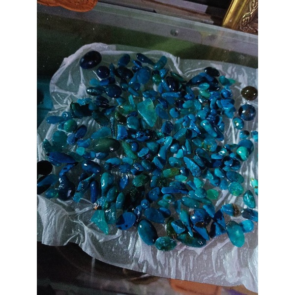 Jual Bacan Doko Cuci Gudang Besar Besaran Shopee Indonesia