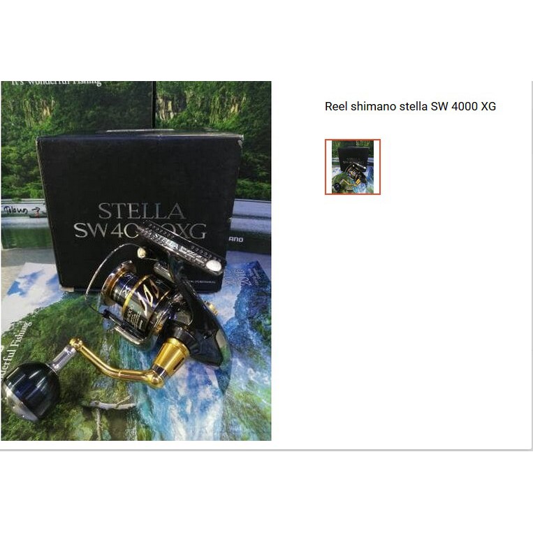 Reel Shimano Stella SW 4000 XG