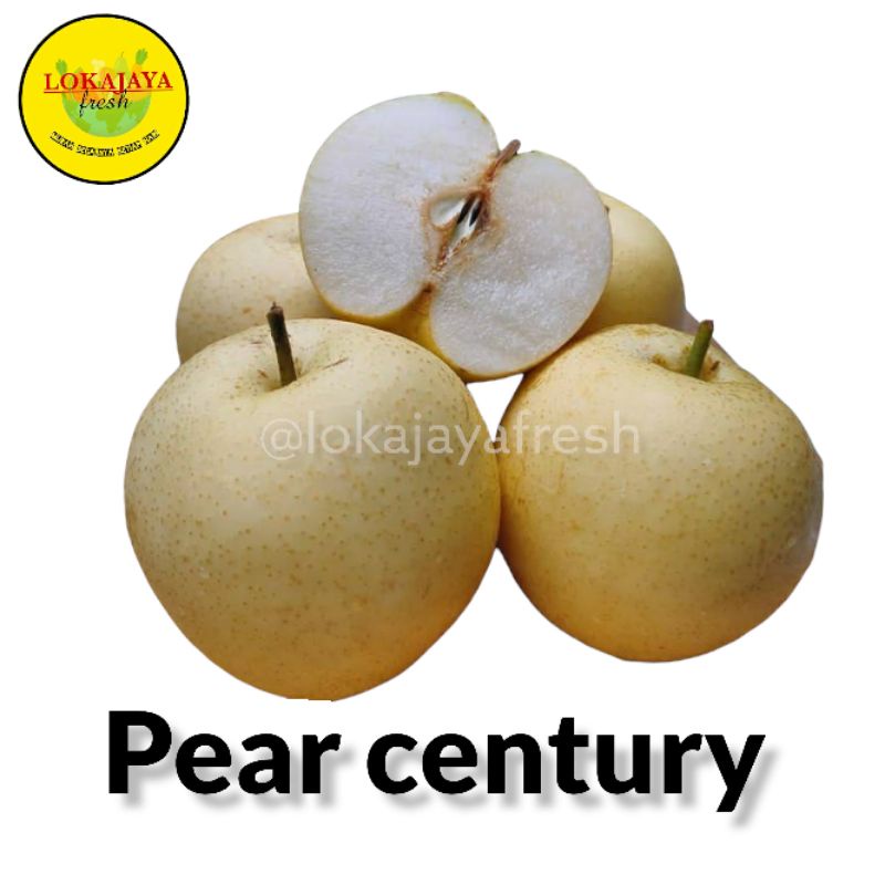 Jual Pear Pir Century Madu Super Manis 1 Kg Shopee Indonesia 