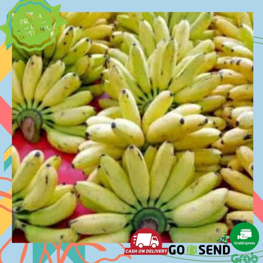 Jual Pisang Ulin Barlin Buah Buahan Segar Shopee Indonesia